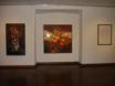 Exposure FAOP - Art Foundation of Ouro Preto - Gallery Nello Nuno 2009